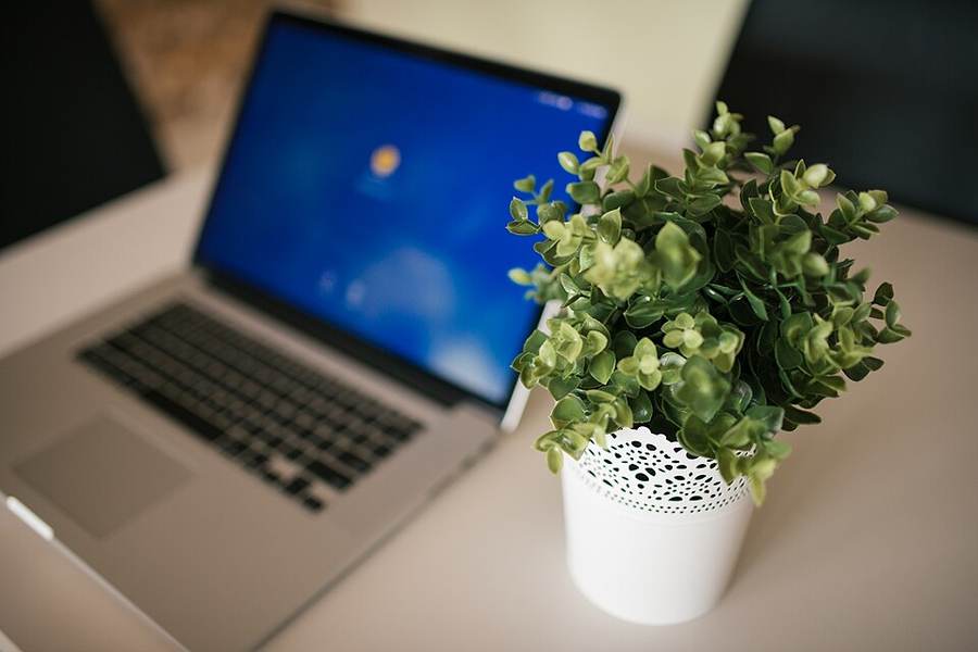 Meja kerja dengan laptop dan tanaman kecil di kantor redaksi